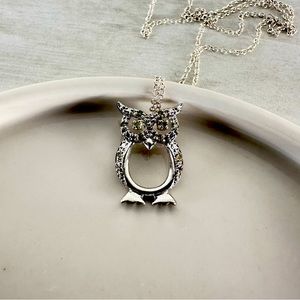 Sterling Silver Owl Pendent and Necklace
